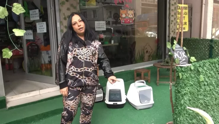 Avcılar’da Gül Ağacı Hırsızlığı: Güvenlik Kamerası Kaydetti