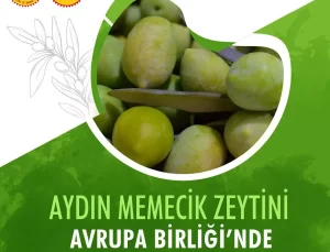 Aydın Memecik Zeytini AB’de Tescil Aşamasında