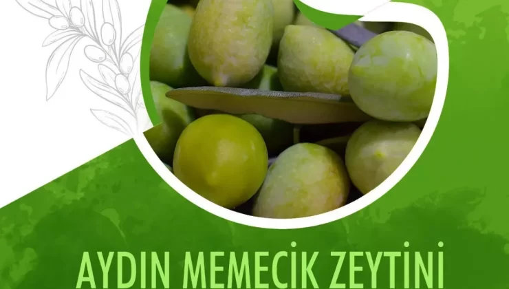 Aydın Memecik Zeytini AB’de Tescil Aşamasında