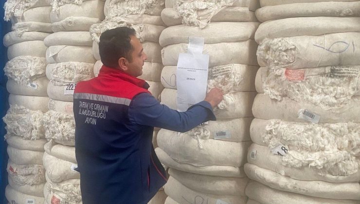 Aydın Söke’den Japonya’ya satılıyor! Beyaz altına son denetim yapıldı