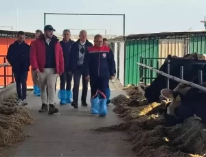 Aydın’da Büyükbaş Hayvan İncelemeleri