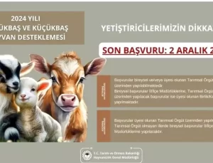 Aydın’da Destekleme Başvurusu İçin Son Tarih