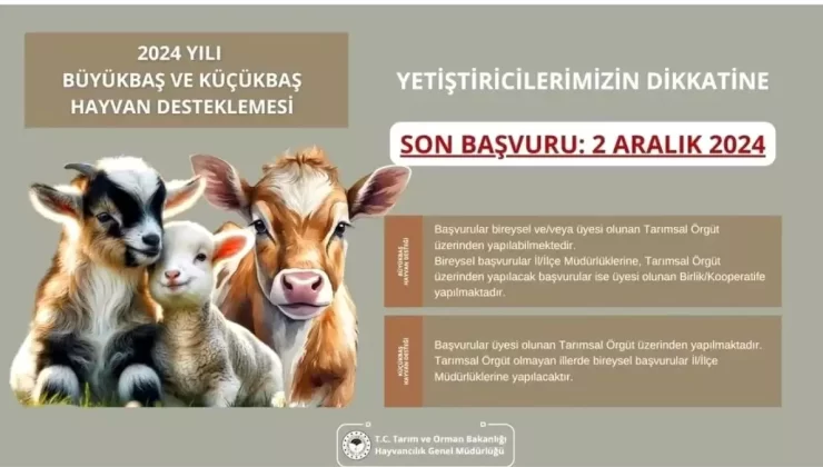 Aydın’da Destekleme Başvurusu İçin Son Tarih