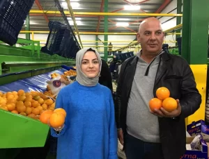 Aydın’da Narenciye İhracatı Artıyor