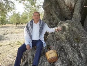 Ayvalık’ta Dünya Zeytin Ağacı Günü Kutlaması