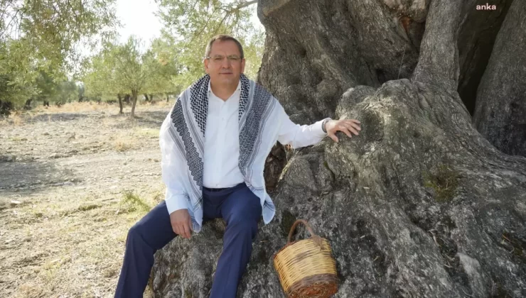 Ayvalık’ta Dünya Zeytin Ağacı Günü Kutlaması