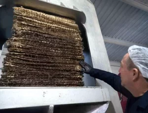 Ayvalık’ta Taş Baskı Zeytinyağı Üretimi