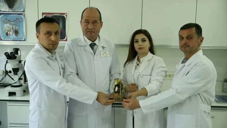 Azerbaycanlı Ziraat Mühendisi Türkiye’de Arıcılık Eğitimi Alıyor