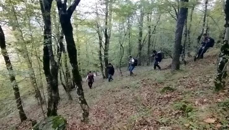 Bafra’da 146 Kilo Esrar Ele Geçirildi