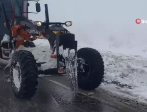 Bahçesaray’da Kar Yağışı Başladı