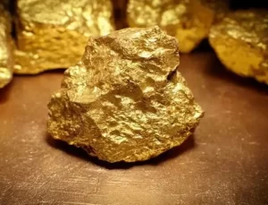 Bakan Bayraktar duyurdu: Türkiye Afrika’da altın üretecek