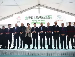 Bakan Yumaklı, Zeytin adlı köpeği sahiplendi