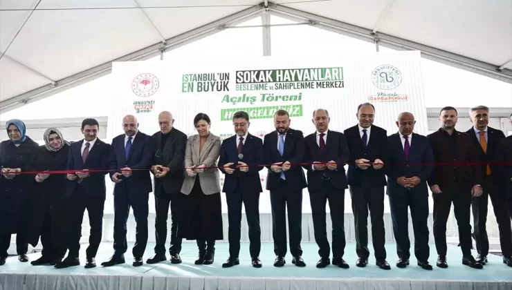 Bakan Yumaklı, Zeytin adlı köpeği sahiplendi