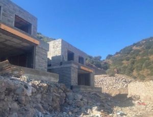 Bakanlık, Suavi’nin arsasında kesilen 40 ağaç ile ilgili inceleme başlattı