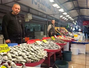 Balık Tezgahlarında Palamut Azalırken Fiyatlar Yükseliyor