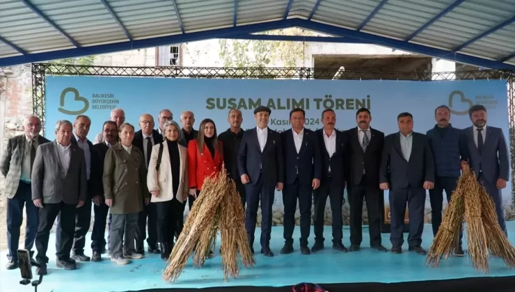 Balıkesir’de Susam Alımı Başladı