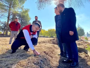 Balıkesir’de Tıbbi Bitki Üretimi İncelemesi