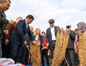 Balıkesirli susam üreticilerine büyük destek