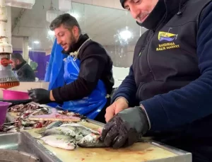 Bandırma’da Balık Pazarında Hareketlilik