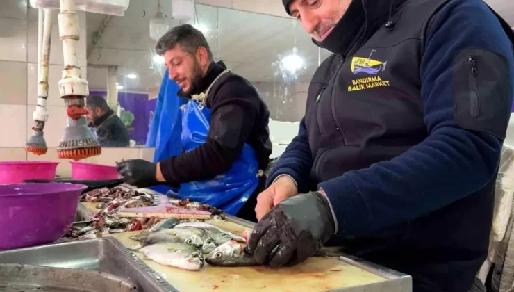 Bandırma’da Balık Pazarında Hareketlilik