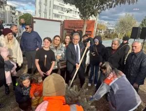 Bandırma’da Kadına Yönelik Şiddete Karşı ‘Yaşam Ormanı’ Kuruldu