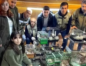 Bartın’da Yasadışı Kuş Avına Baskın