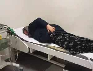 Başıboş Köpeklerin Saldırısı: 65 Yaşındaki Kadın Yaralandı