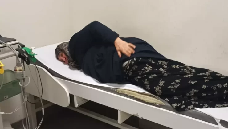 Başıboş Köpeklerin Saldırısı: 65 Yaşındaki Kadın Yaralandı