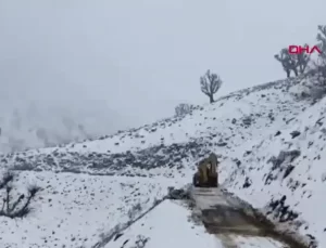 Batman Sason’da Kar Yağışı 6 Köy ve 22 Mezar Yolunu Kapattı