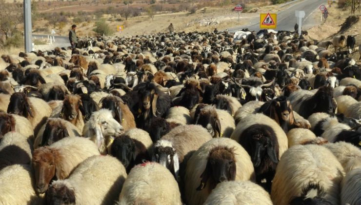 Batman’da göçerlerin zorlu dönüş yolculuğu