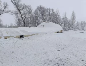 Bayburt’ta Çatı Çöktü, 20 Hayvan Telef Oldu