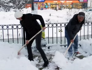 Bayburt’tan Sokak Hayvanlarına Destek