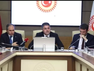 Bebek Ölümleri Komisyonu Kuruldu