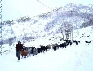 Besiciler Kar Yağışına Hazırlıksız Yakalandı