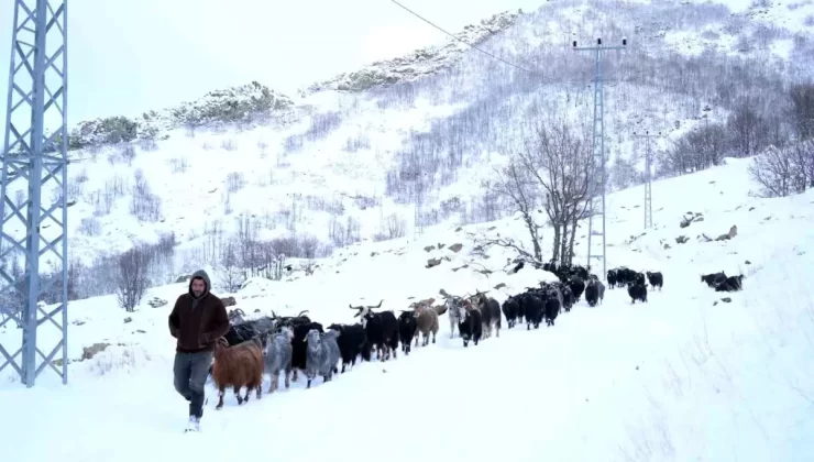 Besiciler Kar Yağışına Hazırlıksız Yakalandı