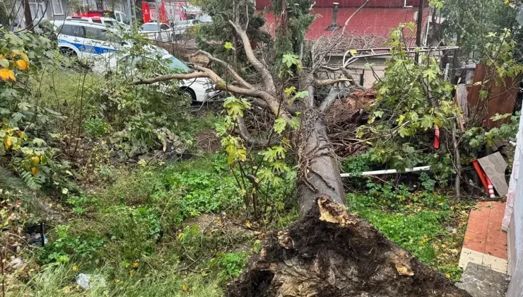 Beşiktaş’ta Rüzgar, Konsolosluk Binasından Parçalar Kopardı