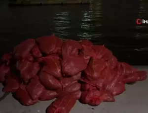Beyoğlu’nda 3 Ton Kaçak Midye Yakalandı