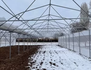 Beyşehir’de Yaz Seraları Yaygınlaşıyor