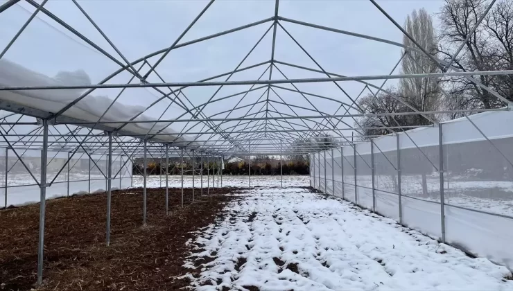 Beyşehir’de Yaz Seraları Yaygınlaşıyor