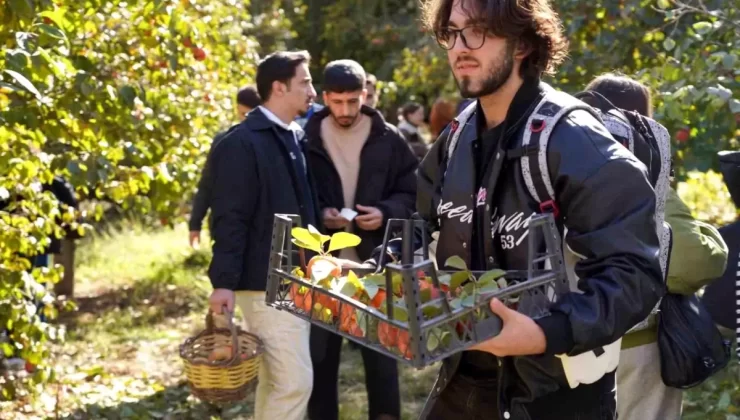 Bilecik’te Cennet Hurması Dağıtımı