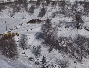 Bingöl’de Kar Yağışı Nedeniyle Kapanan Köy Yollarından 34’ü Açıldı