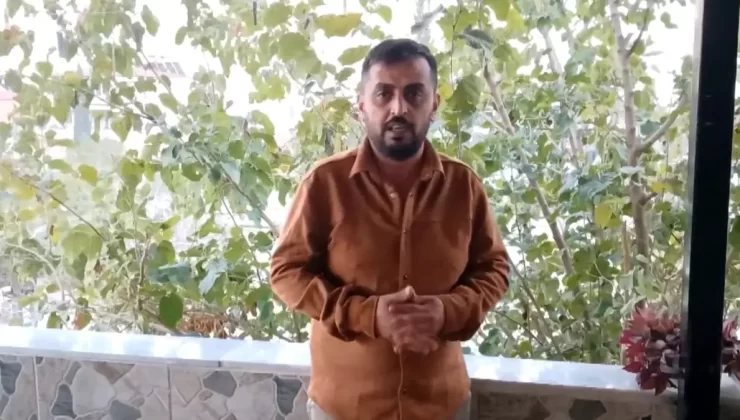 Bitkin Köpek, Hayvansever Tarafından Kurtarıldı