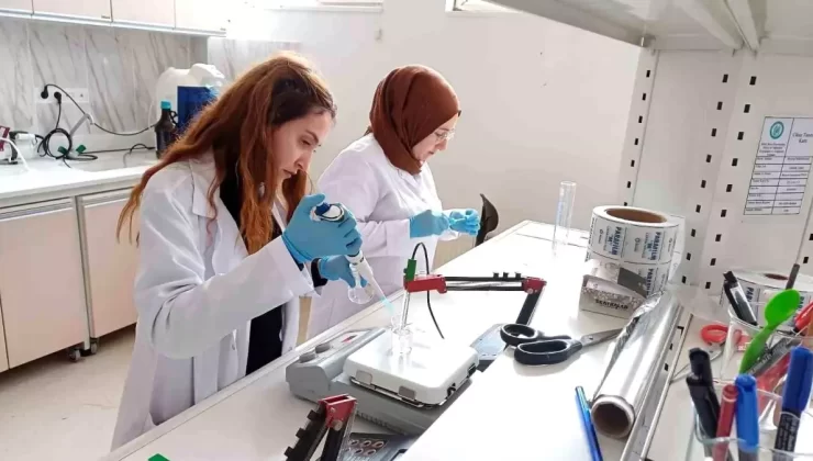 Bitlis Eren Üniversitesi’nde Bal Analizinde Başarı