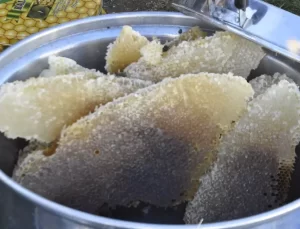 Bitlis’in Altın Bal’ı Hasat Edildi