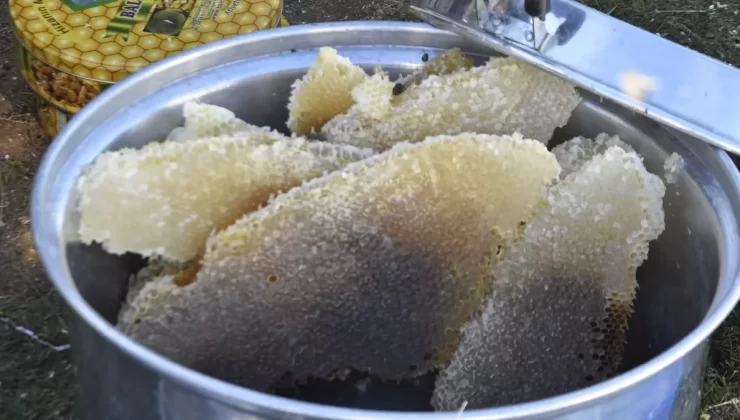 Bitlis’in Altın Bal’ı Hasat Edildi