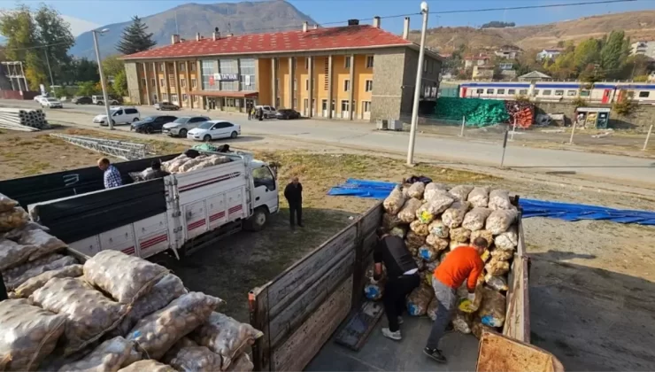 Bitlis’te 192 Ton Patates İhtiyaç Sahiplerine Dağıtıldı