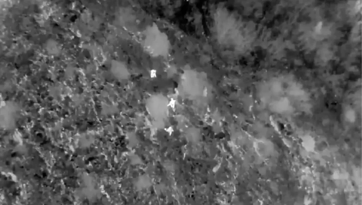 Bitlis’te 39 Düzensiz Göçmen Yakalandı