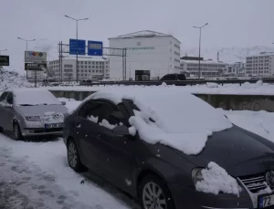 Bitlis’te Kar Yağışı 70 Köy Yolunu Ulaşıma Kapattı