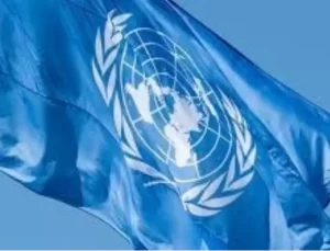 BM Raporu: Her Gün 140 Kadın Cinayeti