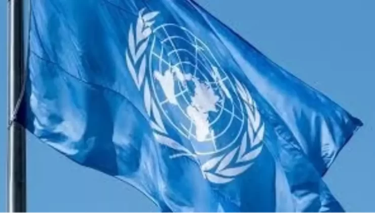 BM Raporu: Her Gün 140 Kadın Cinayeti